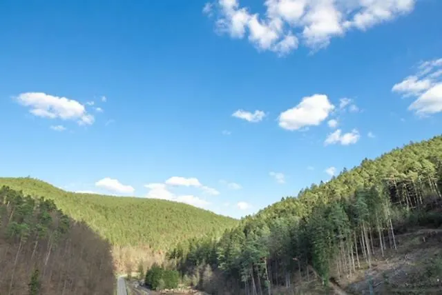 Otto-dill-halle Elmstein